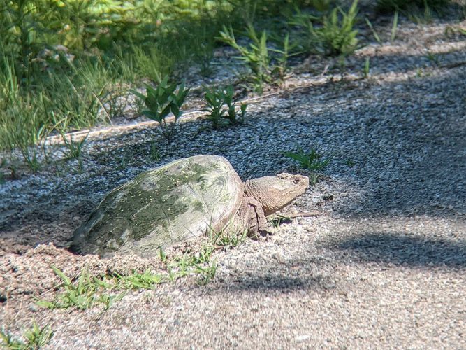 Crédits photo: Benoit Renaud