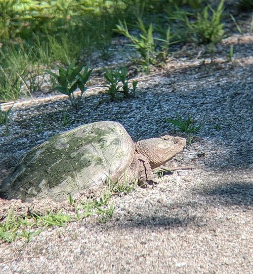 Crédits photo: Benoit Renaud